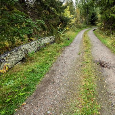 SÄGNER FRÅN MEDELTIDENS KORSNÄS. Strandvägen_Kipproten. Foto Kim Blåfield.
